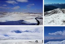 175款4K冬天雪景自然风景下雪冬季美景雪地面雪山唯美山川抖音视频素材